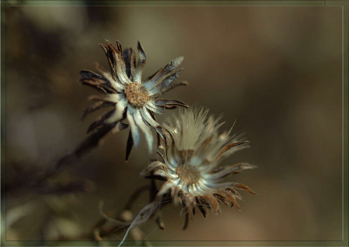 �������� �������� ����� ������  �� PhotoGeek.ru #������ ��� �������