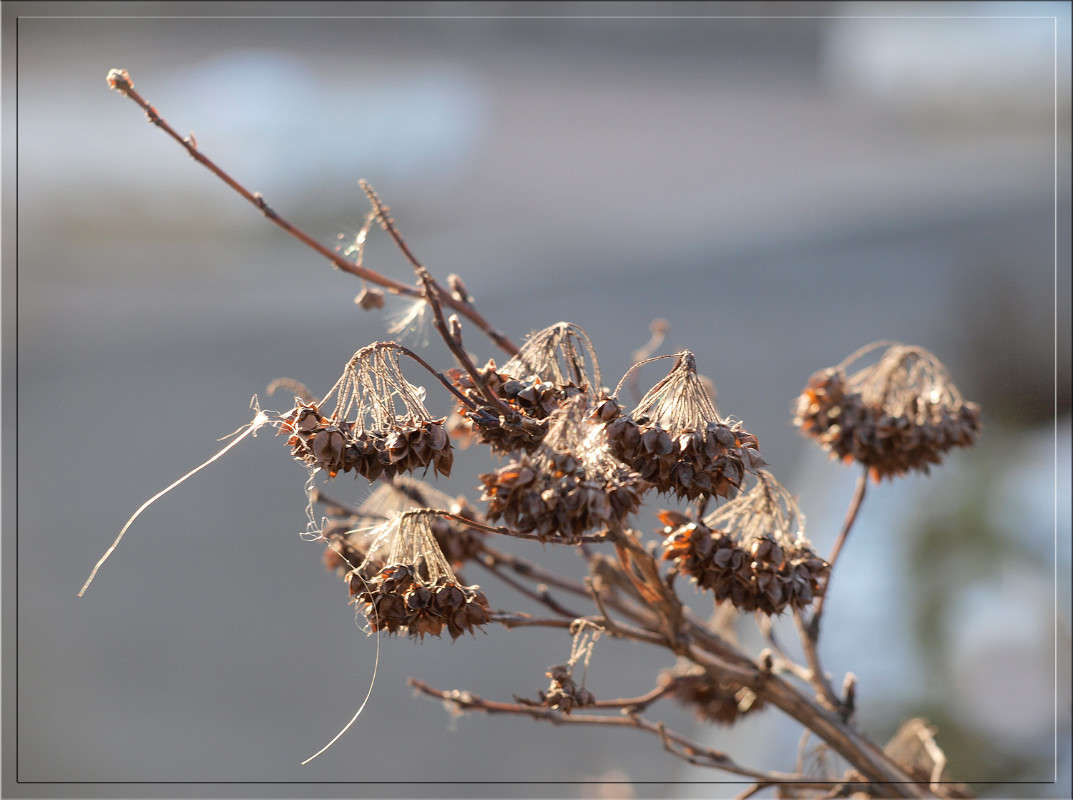 ����� ������ ����� ������  �� PhotoGeek.ru #������ ��� �������