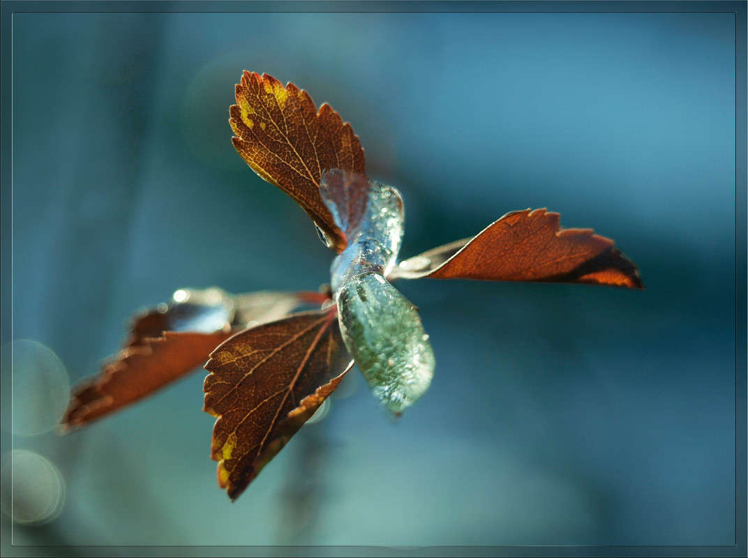 ������ 17 ����� ������  �� PhotoGeek.ru #������ ��� �������