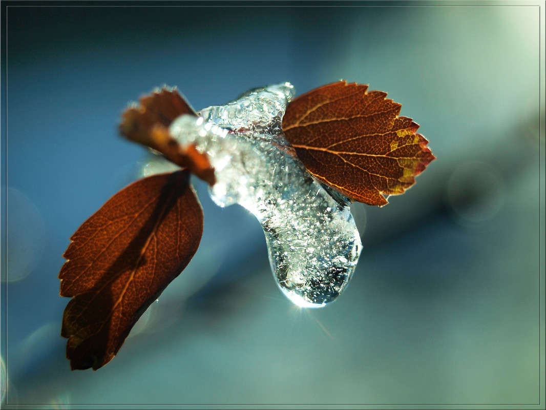 ������ 18 ����� ������  �� PhotoGeek.ru #������ ��� �������