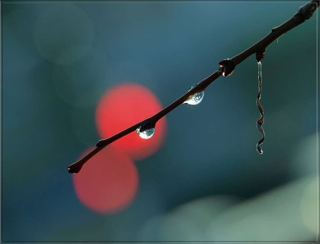 ������� ������ ����� ������  �� PhotoGeek.ru #������ ��� �������