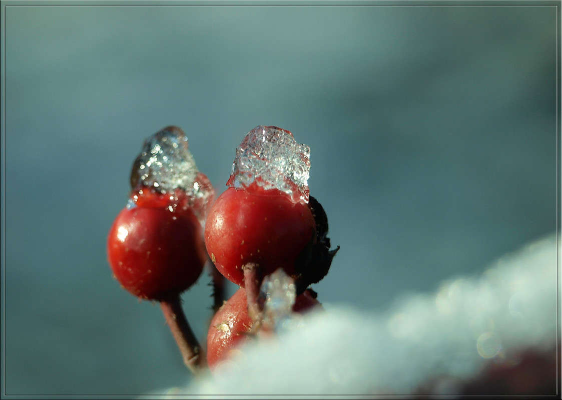 ���������� ������� ����� ������  �� PhotoGeek.ru #������ ��� �������