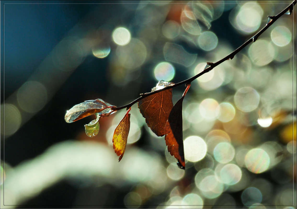 ������ 19 ����� ������  �� PhotoGeek.ru #������ ��� �������