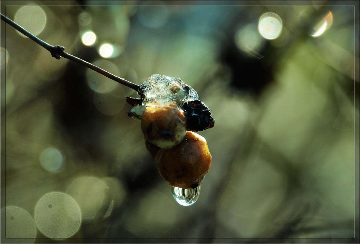 ������� � ����� ����� ������  �� PhotoGeek.ru #������ ��� �������