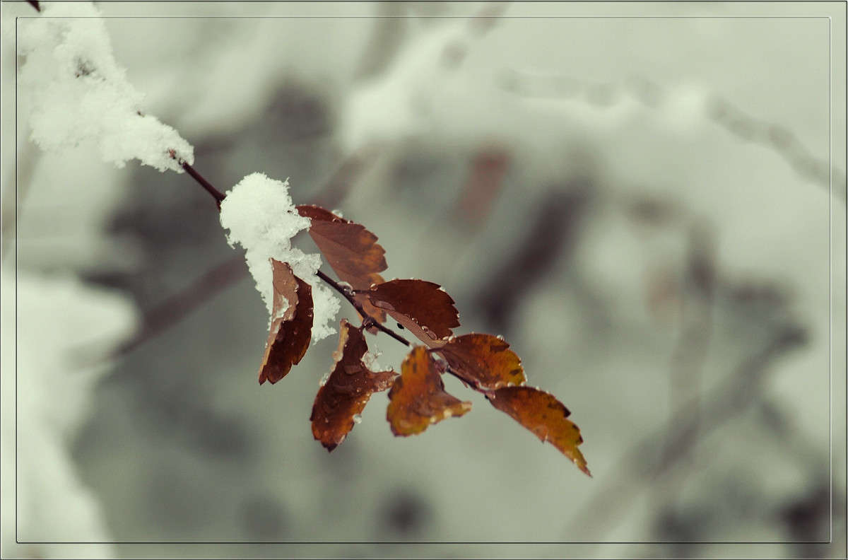 ���� 20 ����� ������  �� PhotoGeek.ru #������ ��� �������