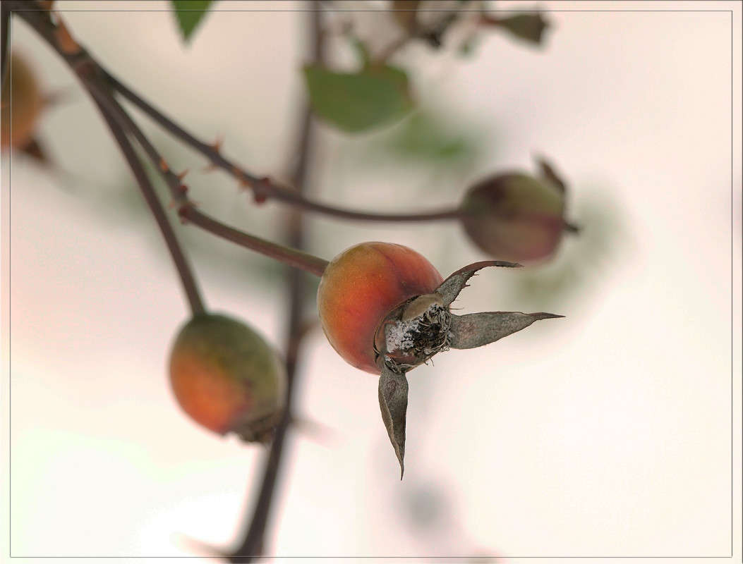 ����� � ���������� ����� ������  �� PhotoGeek.ru #������ ��� �������