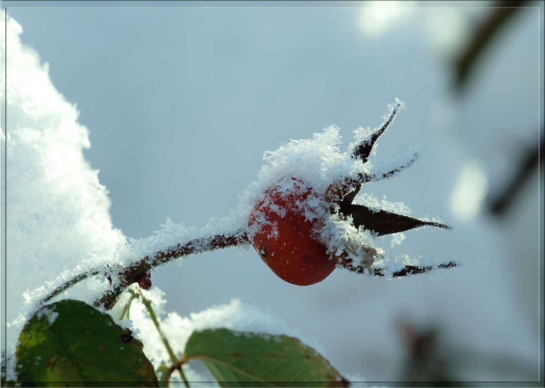 ������ ����� ������  �� PhotoGeek.ru #������ ��� �������