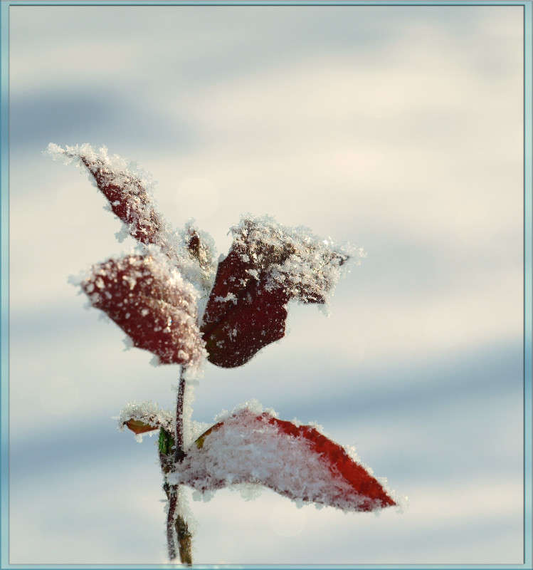 ������ 21 ����� ������  �� PhotoGeek.ru #������ ��� �������