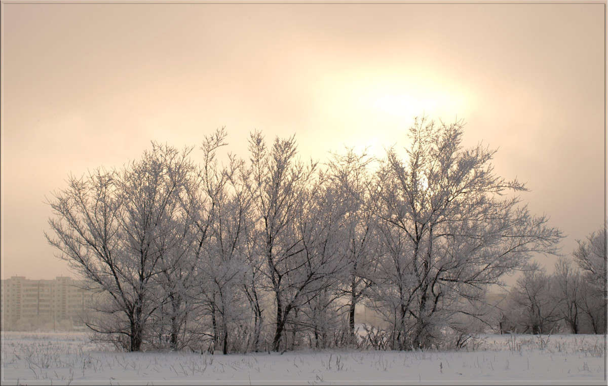 ������� ���� ����� ������  �� PhotoGeek.ru #������ ��� �������