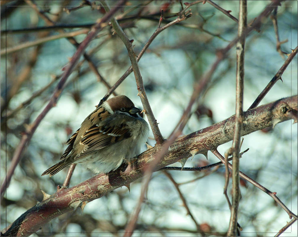 ���������� ����� ������  �� PhotoGeek.ru #�������� ���