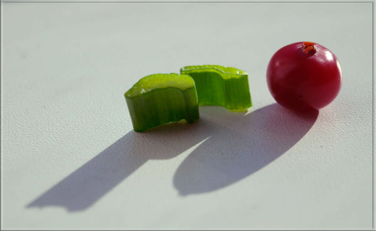 ����������� ������ ����� ������  �� PhotoGeek.ru #�������� ����������