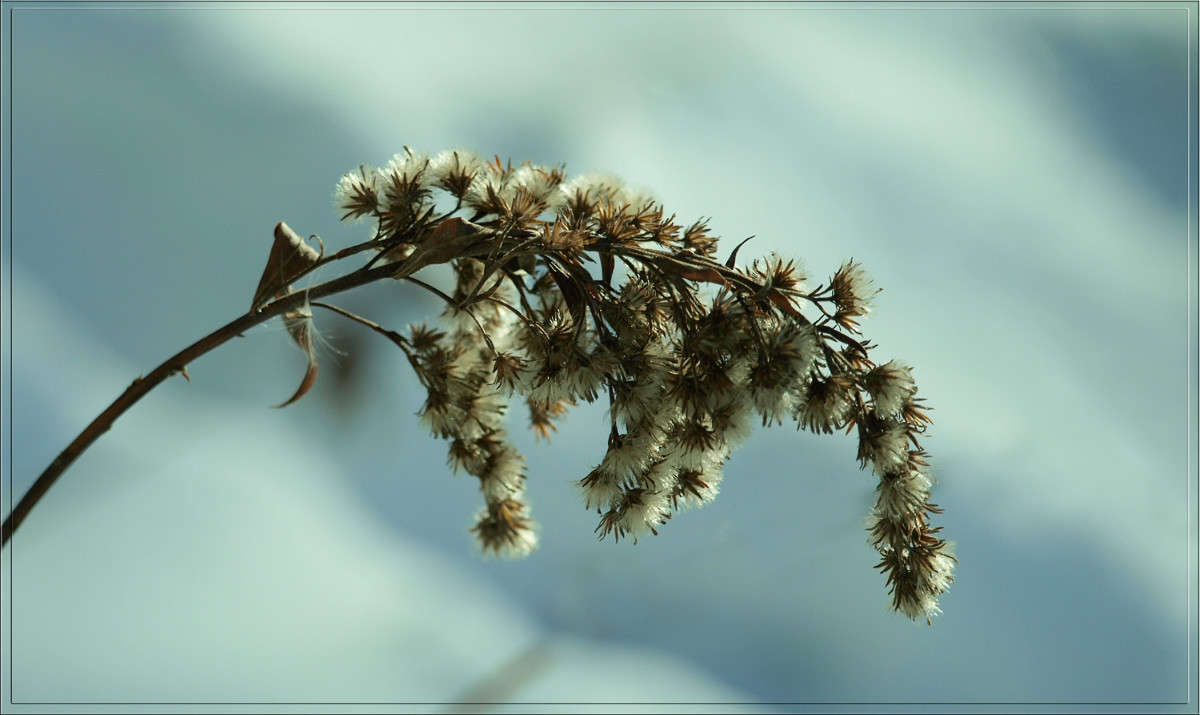 ��������� ����� ������  �� PhotoGeek.ru #������ ��� �������