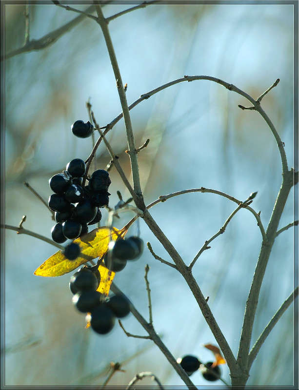 ������ ����� ������  �� PhotoGeek.ru #������ ��� �������