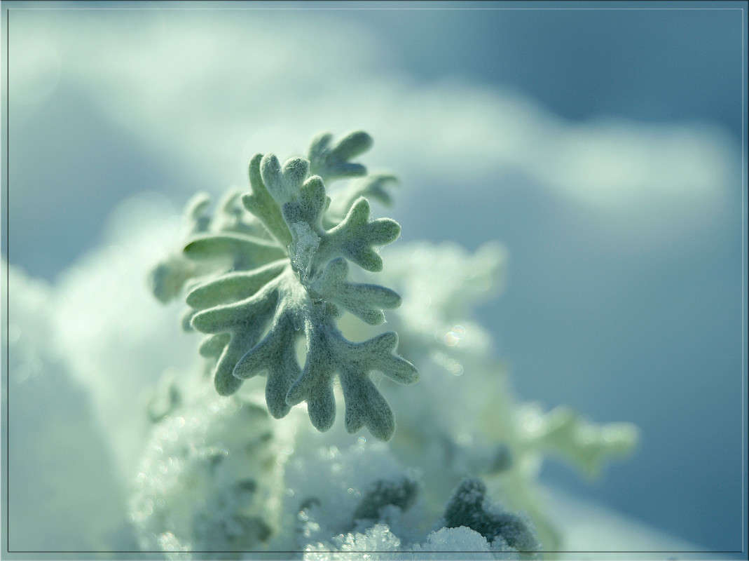 ������ ���� .jpg ����� ������  �� PhotoGeek.ru #������ ��� �������