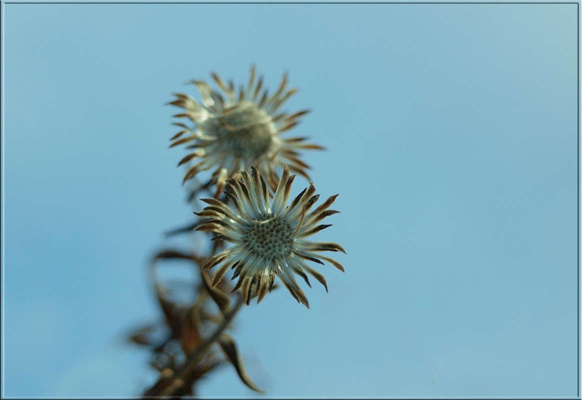 �� ���� ������� ����� ������  �� PhotoGeek.ru #������ ��� �������