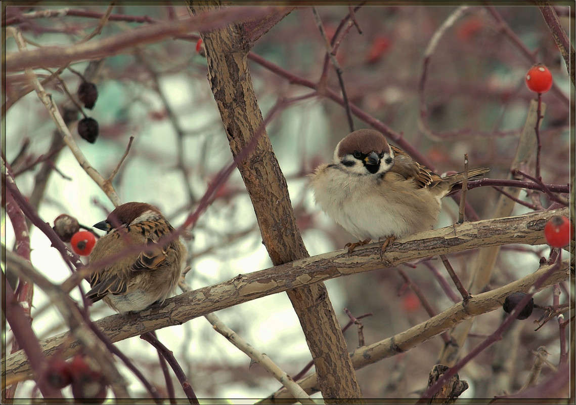 ������������� ����� ������  �� PhotoGeek.ru #�������� ���