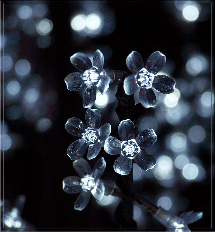 �������������� ������� ����� ������  �� PhotoGeek.ru #�������� ����������