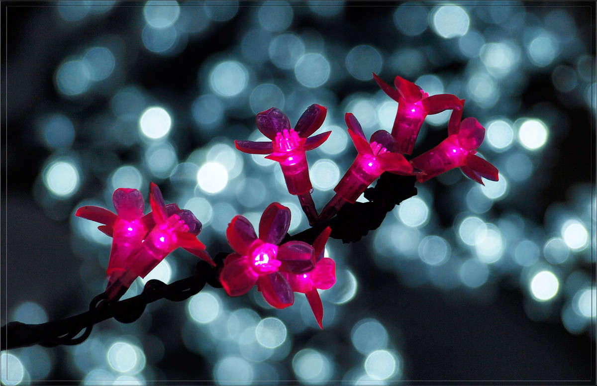 �������������� ������� 2 ����� ������  �� PhotoGeek.ru #�������� ����������