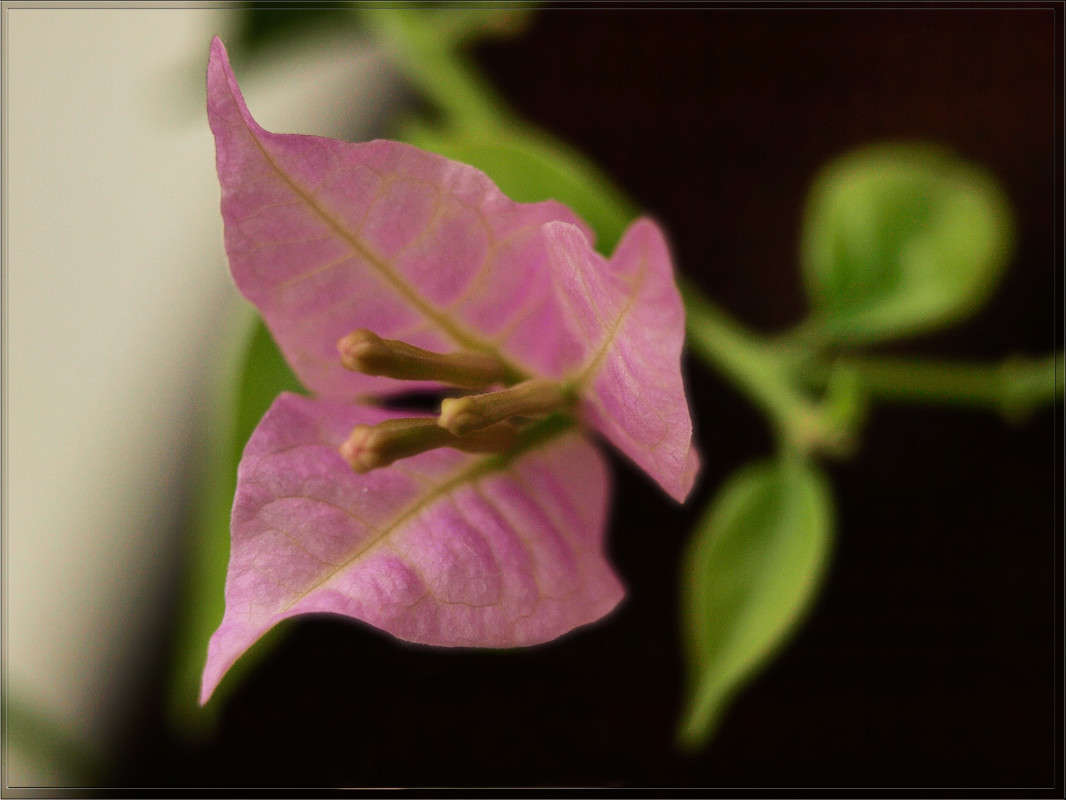 ���������� ������ ����� ������  �� PhotoGeek.ru #�������� ����������