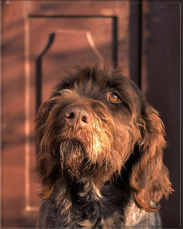 ���� ����� ����� ������  �� PhotoGeek.ru #�������� ���