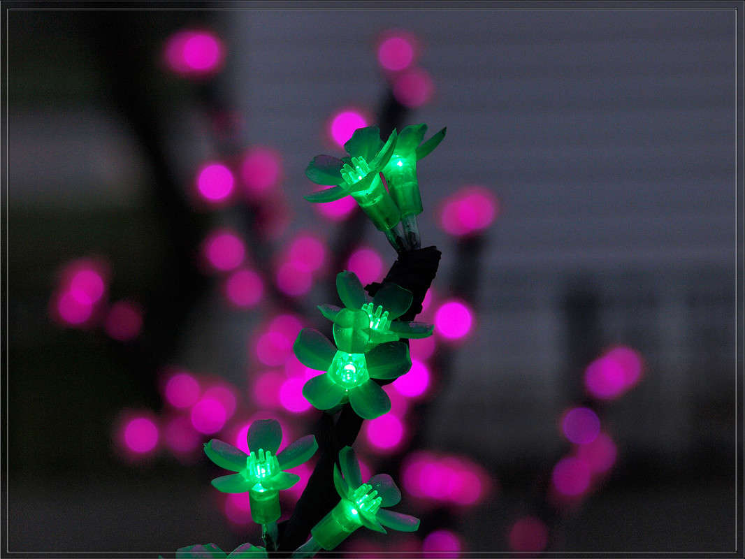 �������������� ��������� 4 ����� ������  �� PhotoGeek.ru #�������� ����������