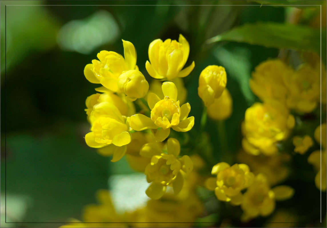 ���� ��� ��������� ������ ����� ������  �� PhotoGeek.ru #������ ��� �������