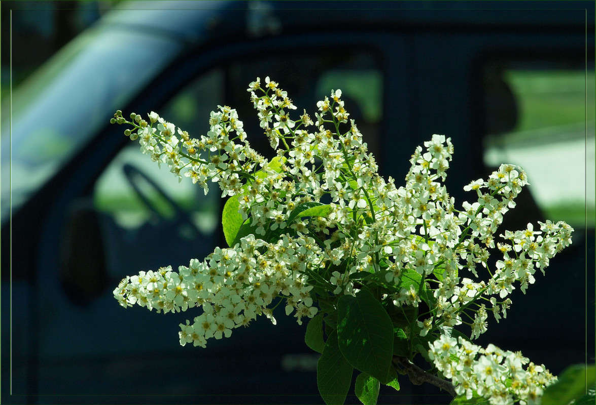 ���� ��� ��������� ������ 2 ����� ������  �� PhotoGeek.ru #������ ��� �������