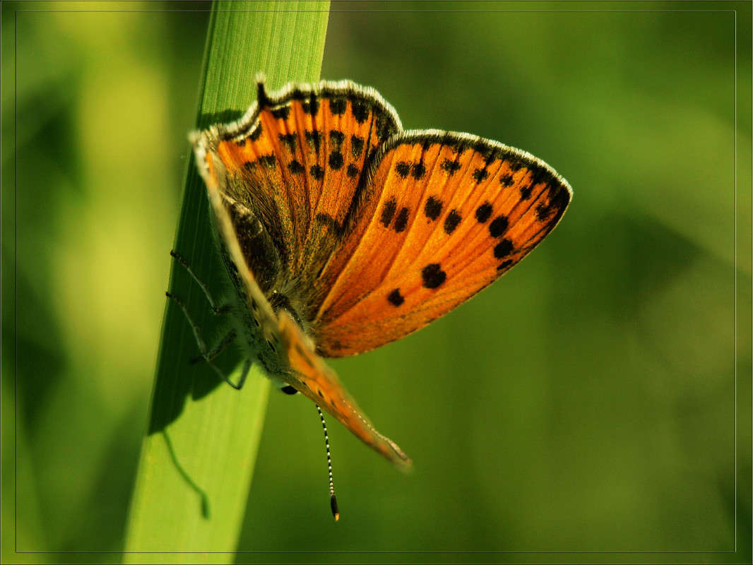 ���� ��� ��������� ������ 3 ����� ������  �� PhotoGeek.ru #�����