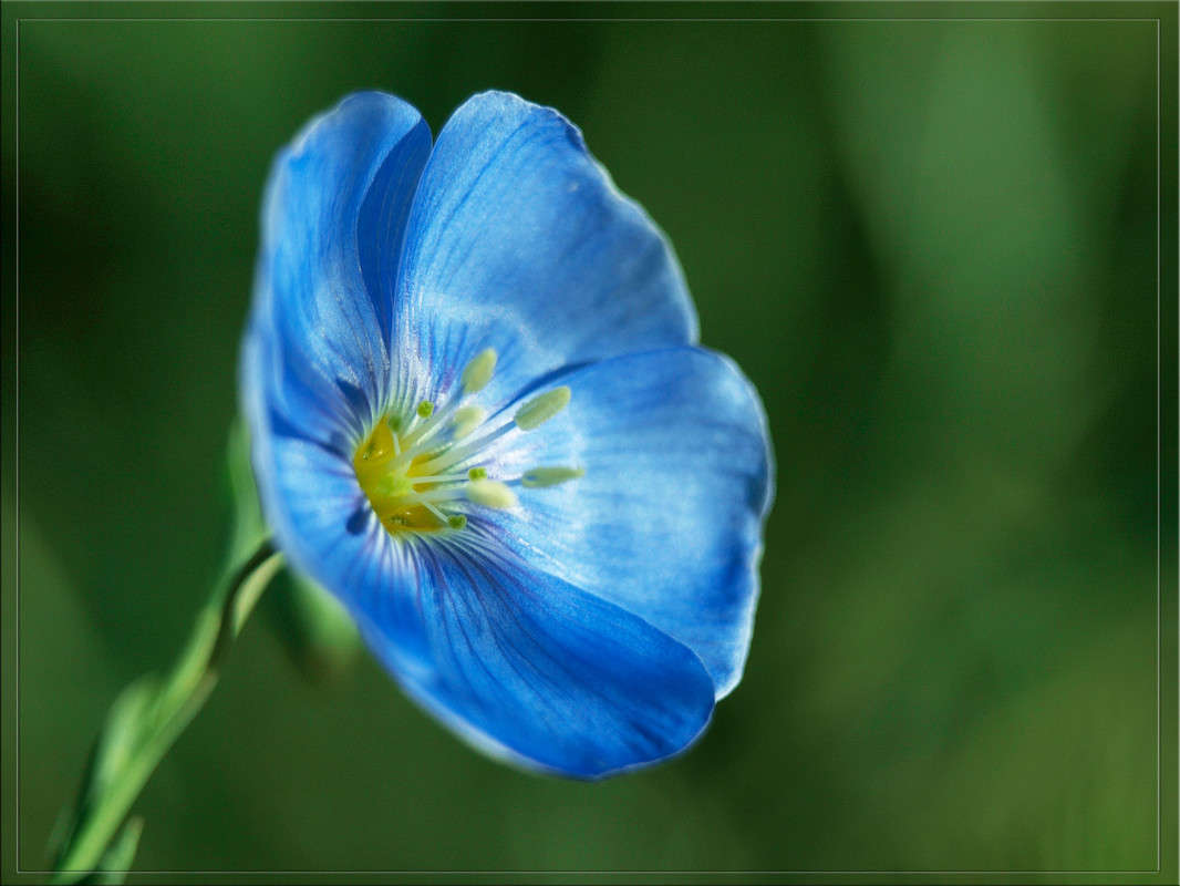 ���� ��� ��������� ������ 4 ����� ������  �� PhotoGeek.ru #������ ��� �������