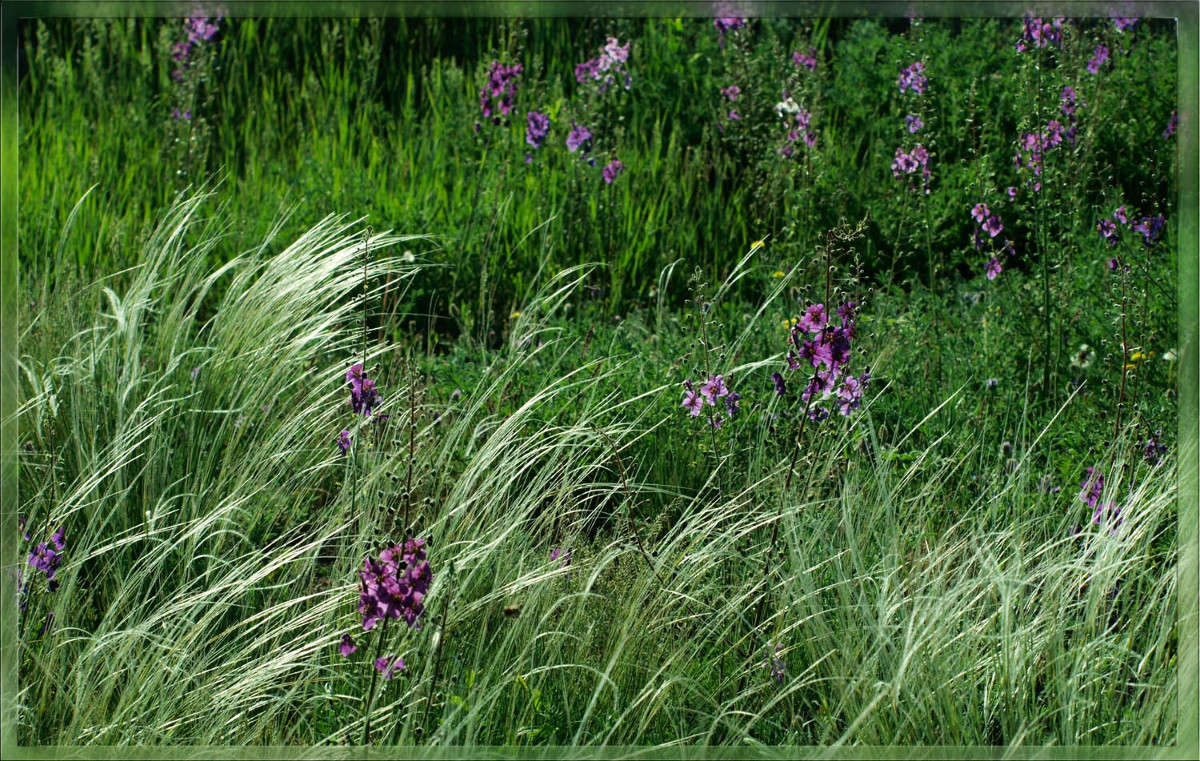 ���� ��� ��������� ������ 5 ����� ������  �� PhotoGeek.ru #������ ��� �������