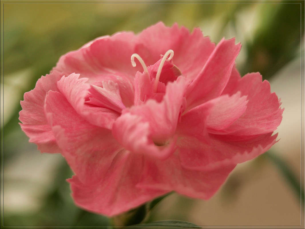 ���� ��� ��������� ������ 6 ����� ������  �� PhotoGeek.ru #������ ��� �������