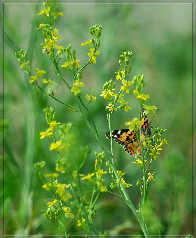 ���� ��� ��������� ������ � 8 ����� ������  �� PhotoGeek.ru #������ ��� �������