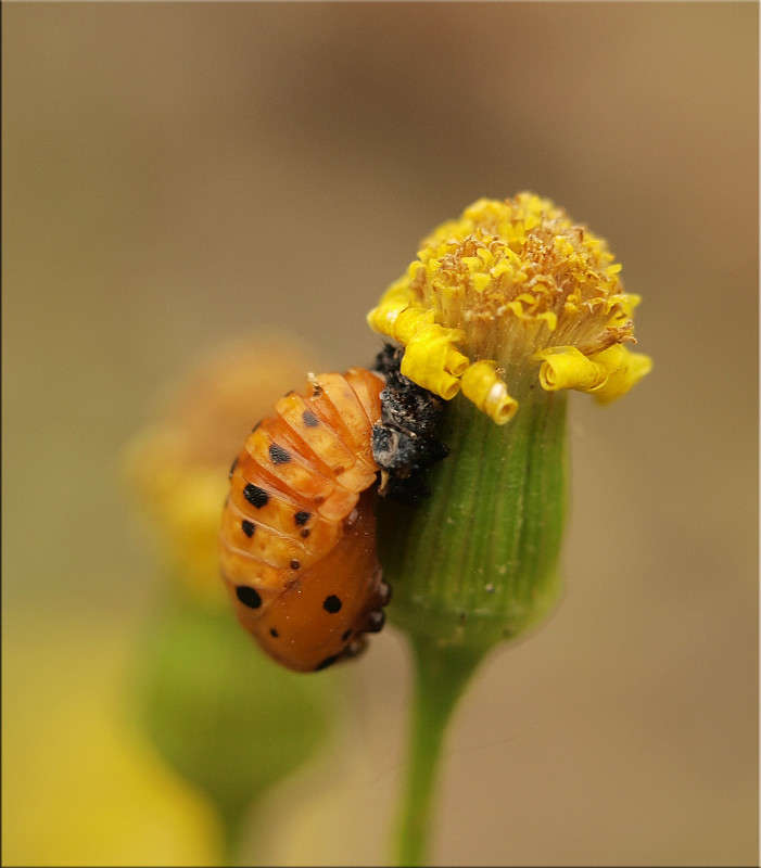 ... ����� ������  �� PhotoGeek.ru #�����