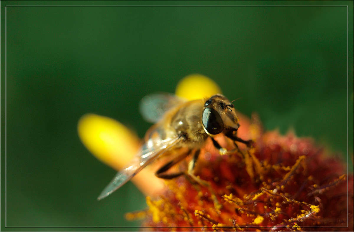 ���� ��� ��������� ������ 11 ����� ������  �� PhotoGeek.ru #�����