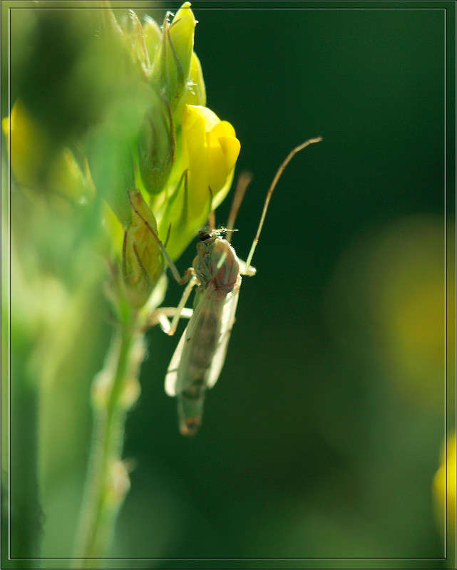 ���� ��� ��������� ������ 12 ����� ������  �� PhotoGeek.ru #�����