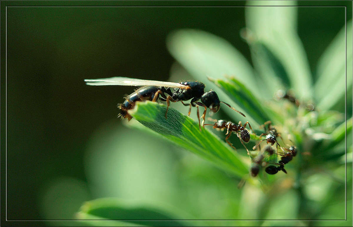 ����� � ��������� ����� ������  �� PhotoGeek.ru #�����