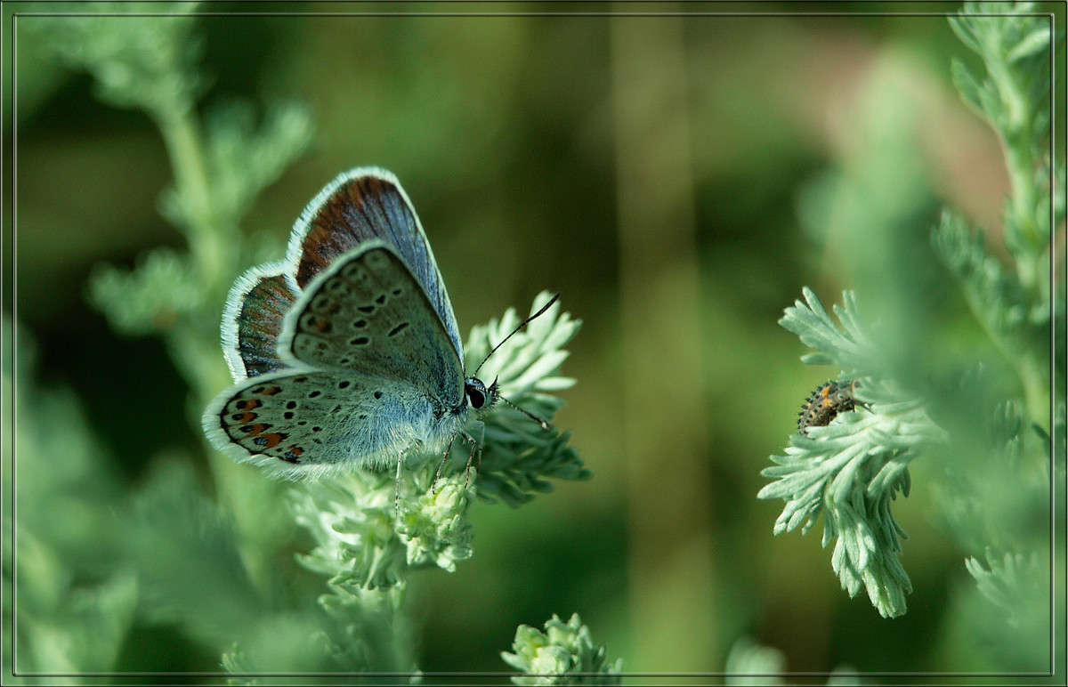 ���� ��� ��������� ������ 13 ����� ������  �� PhotoGeek.ru #������ ��� �������