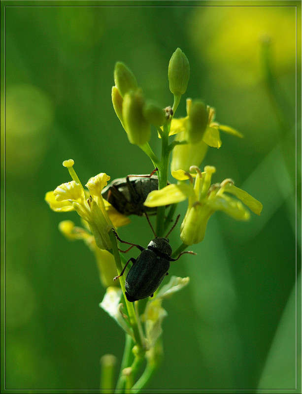 ���� ��� ��������� ������ 14 ����� ������  �� PhotoGeek.ru #������ ��� �������