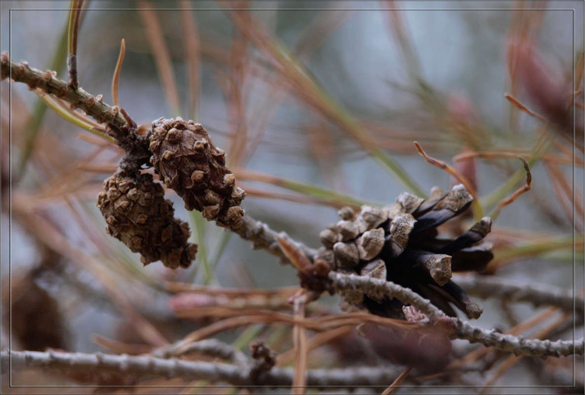 �������� � ������ ����� ������  �� PhotoGeek.ru #������ ��� �������