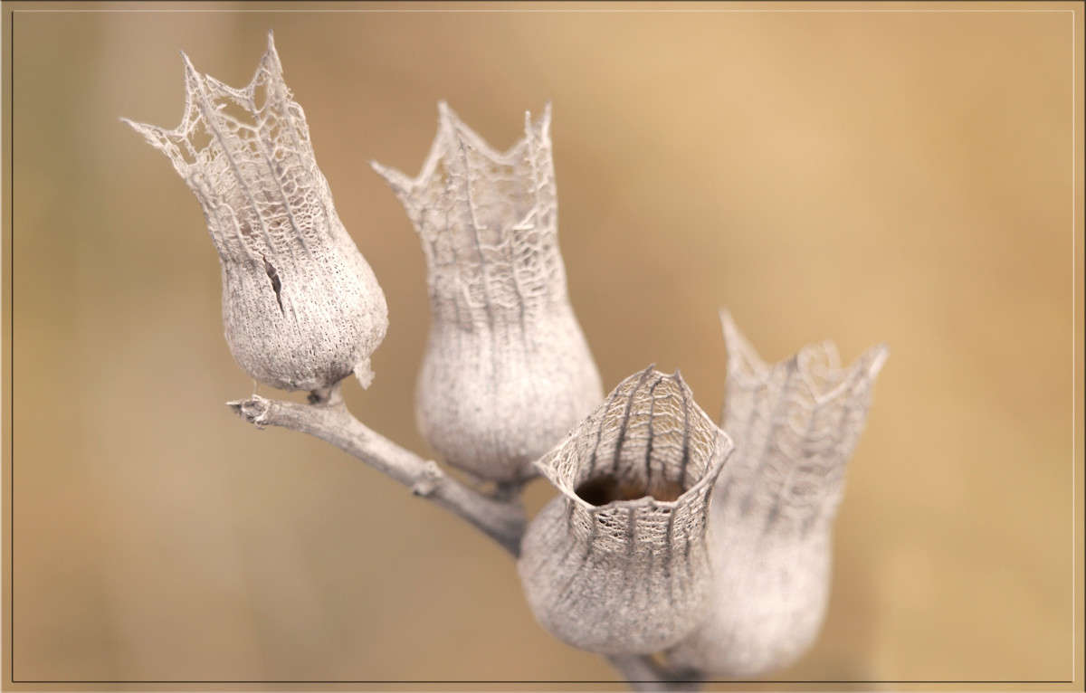 �������� � ������ 2 ����� ������  �� PhotoGeek.ru #������ ��� �������