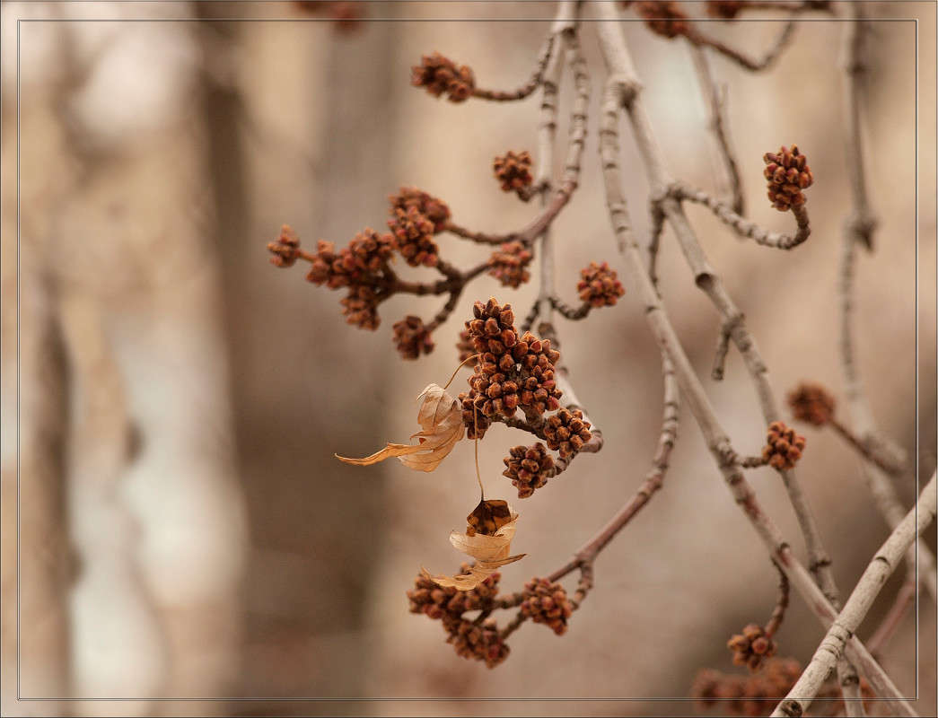 �������� � ������ 3 ����� ������  �� PhotoGeek.ru #������ ��� �������