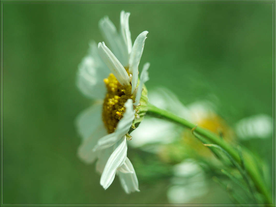 ���� ��� ��������� ������ 16 ����� ������  �� PhotoGeek.ru #������ ��� �������