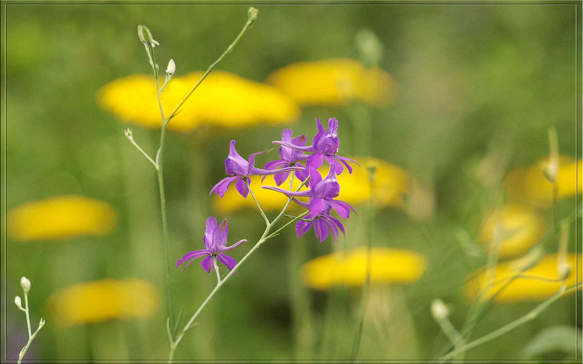 ���� ��� ��������� ������ � 18 ����� ������  �� PhotoGeek.ru #������ ��� �������