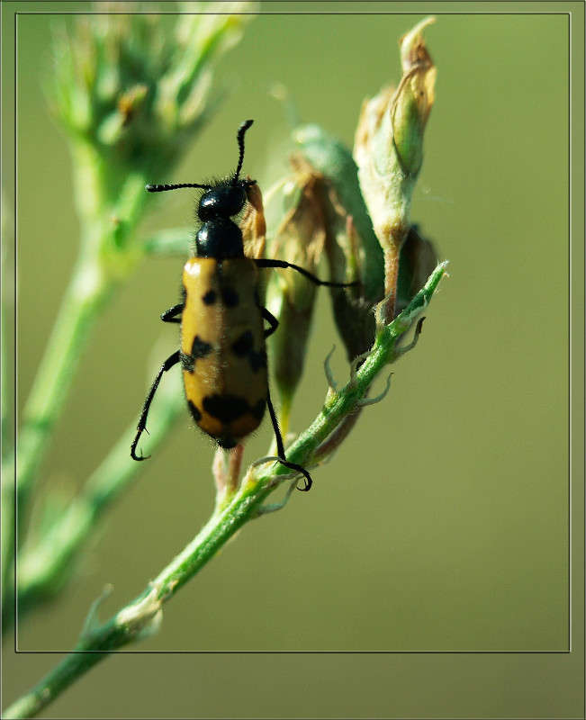 ���� ��� ��������� ������ 20 ����� ������  �� PhotoGeek.ru #�����