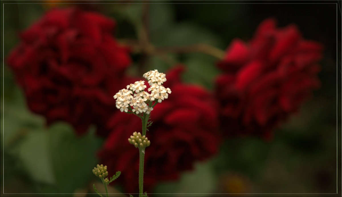 ���� ��� ��������� ������ 19 ����� ������  �� PhotoGeek.ru #������ ��� �������