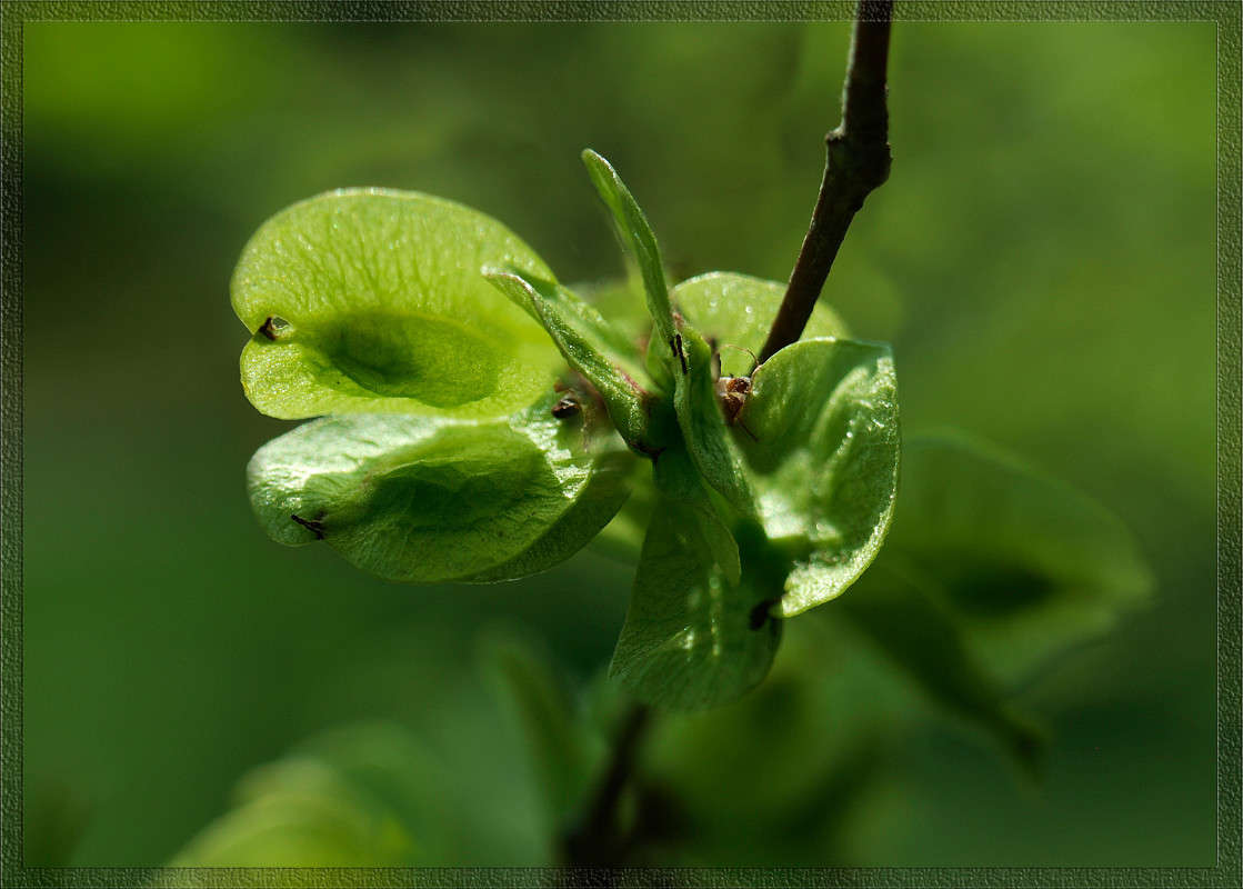 ���� ��� ��������� ������ 21 ����� ������  �� PhotoGeek.ru #������ ��� �������