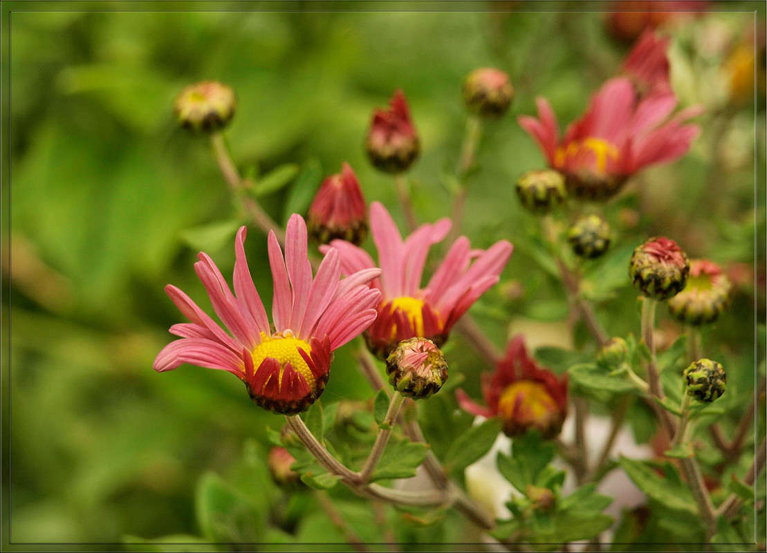 ���� ��� ��������� ������ 22 ����� ������  �� PhotoGeek.ru #������ ��� �������