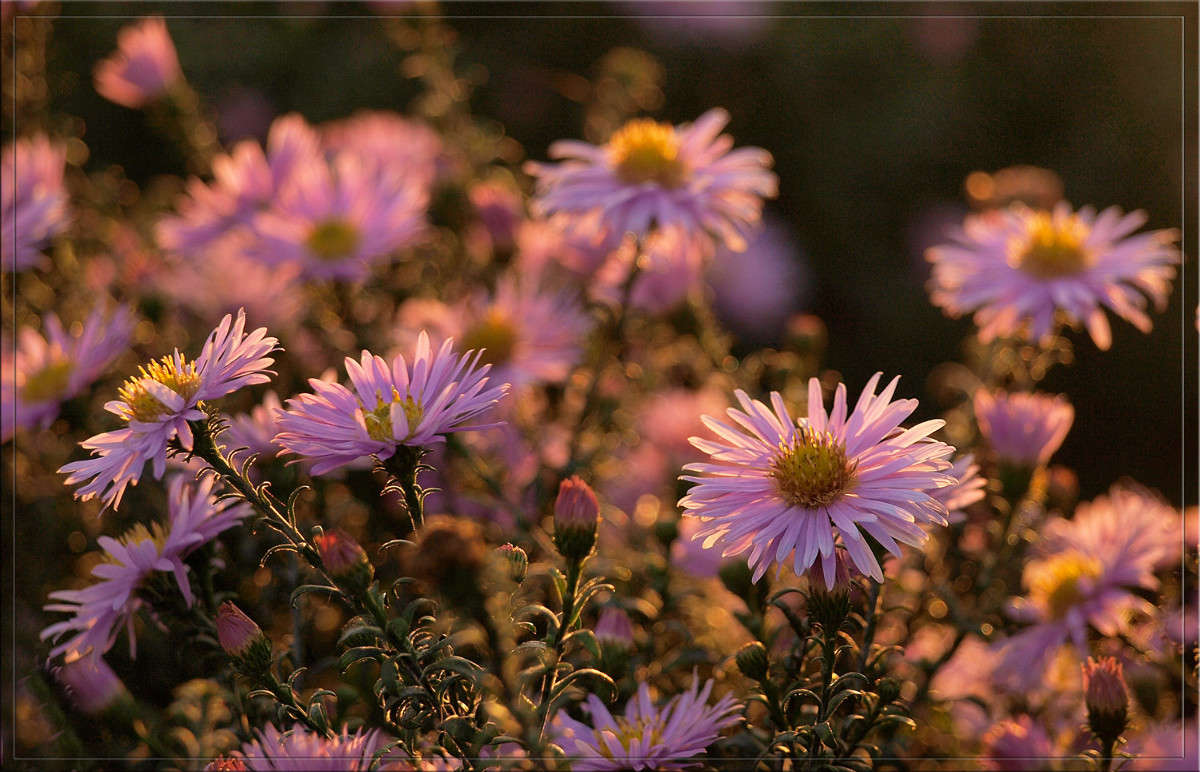 ���� ��� ��������� ������ 23 ����� ������  �� PhotoGeek.ru #������ ��� �������