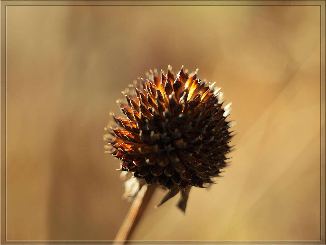 ��� ��������� ������� ����� ������  �� PhotoGeek.ru #������ ��� �������