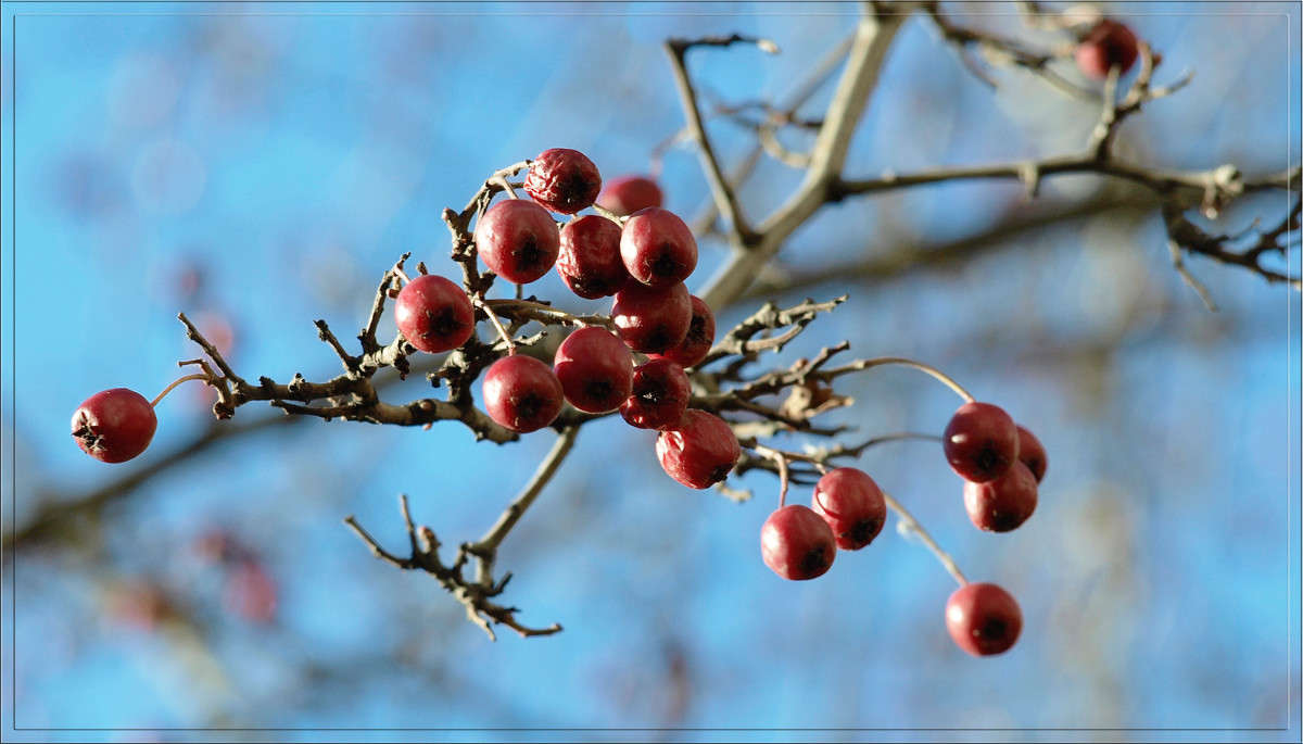 ����� ���� ������� ����� ������  �� PhotoGeek.ru #������ ��� �������